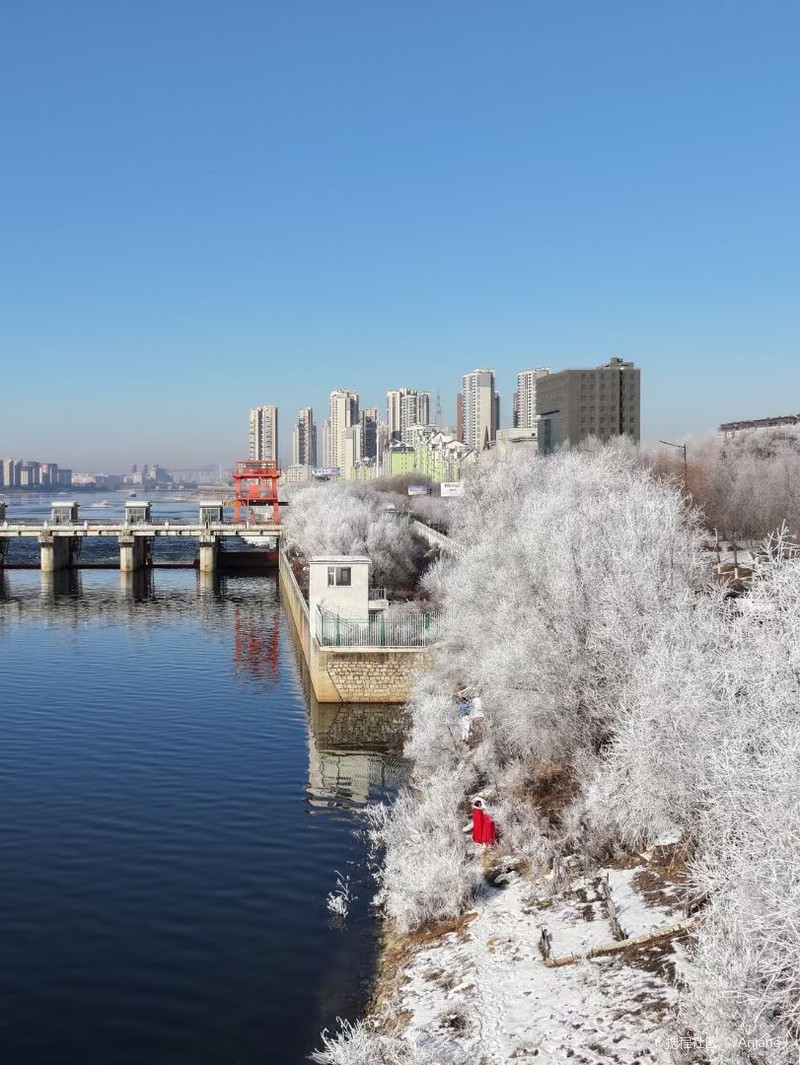 吉林日报，聚焦吉林发展新篇章
